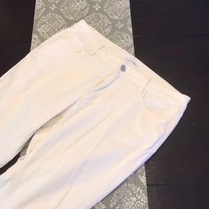 [Ann Taylor Loft] Cream High Rise Size 12P Cords